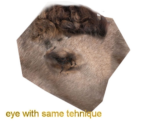 Creation of camelio: Step 4